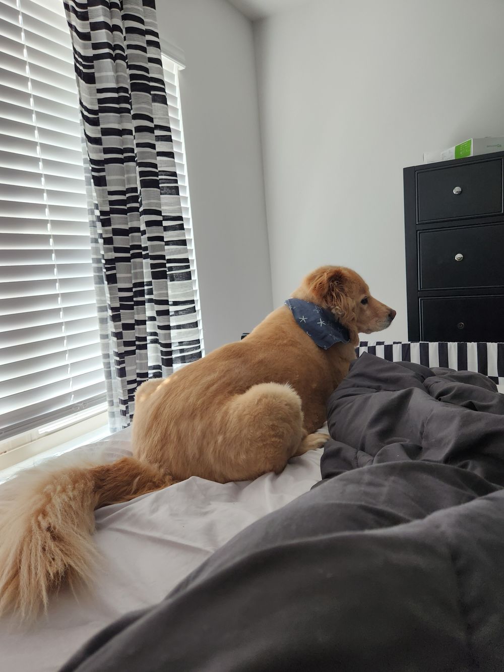 iaedz OnlyFans profile picture