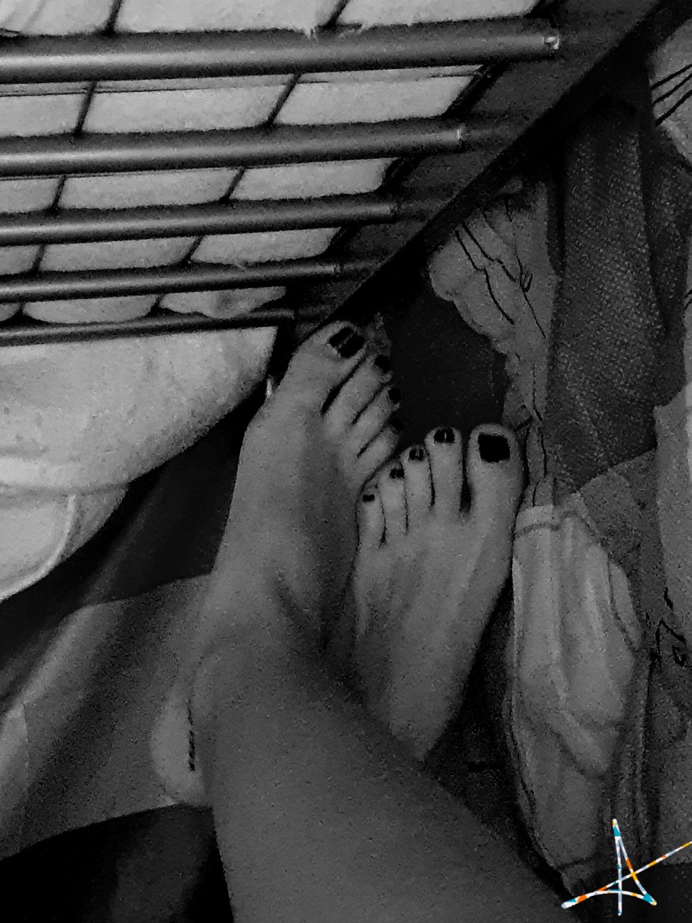 ozeppy OnlyFans profile picture