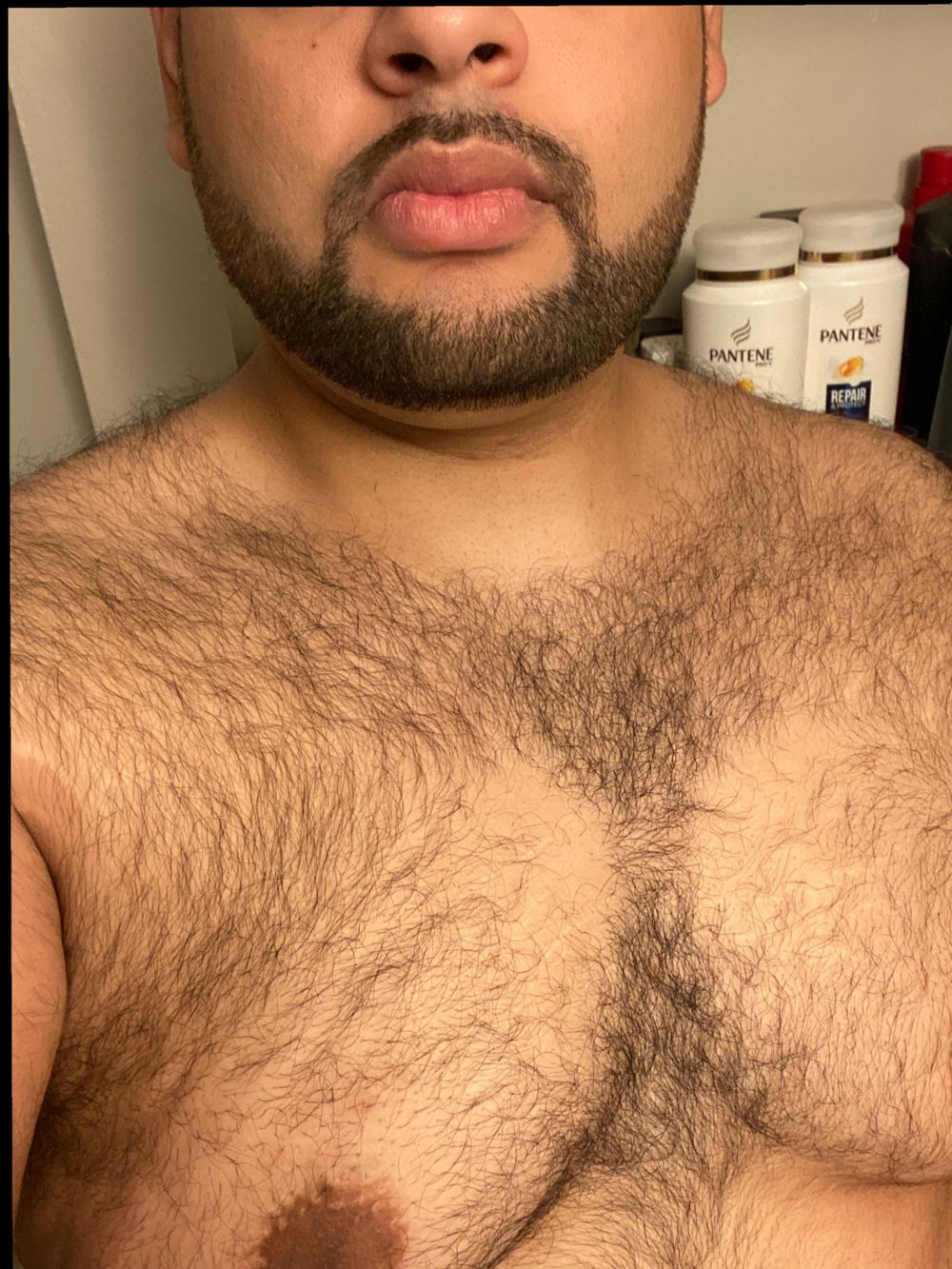 dlbear91 OnlyFans profile picture