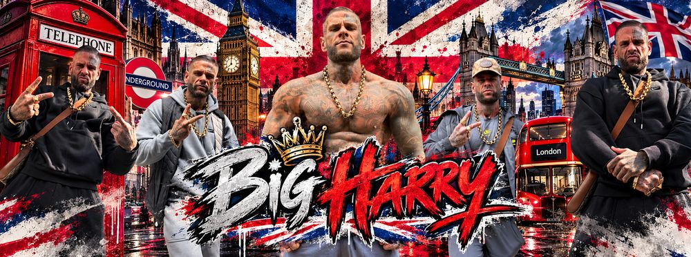 bigharrys OnlyFans profile picture