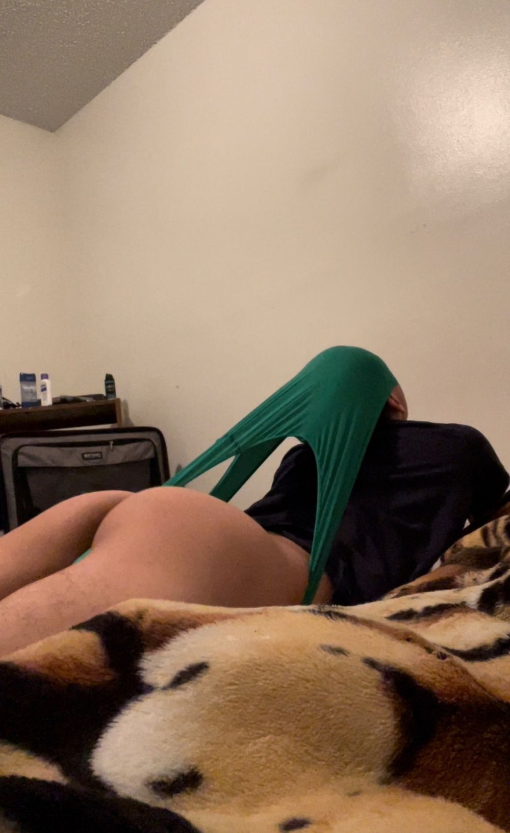 elliewillems OnlyFans profile picture