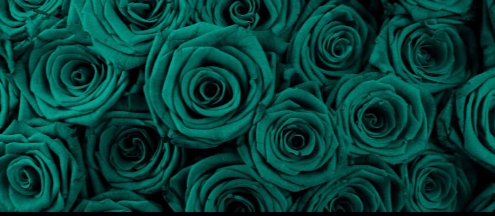 emerald_eyes1 OnlyFans profile picture