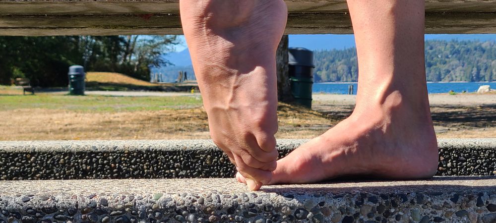 ballettwinkletoes OnlyFans profile picture