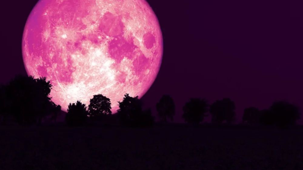 thepinkmoon OnlyFans profile picture