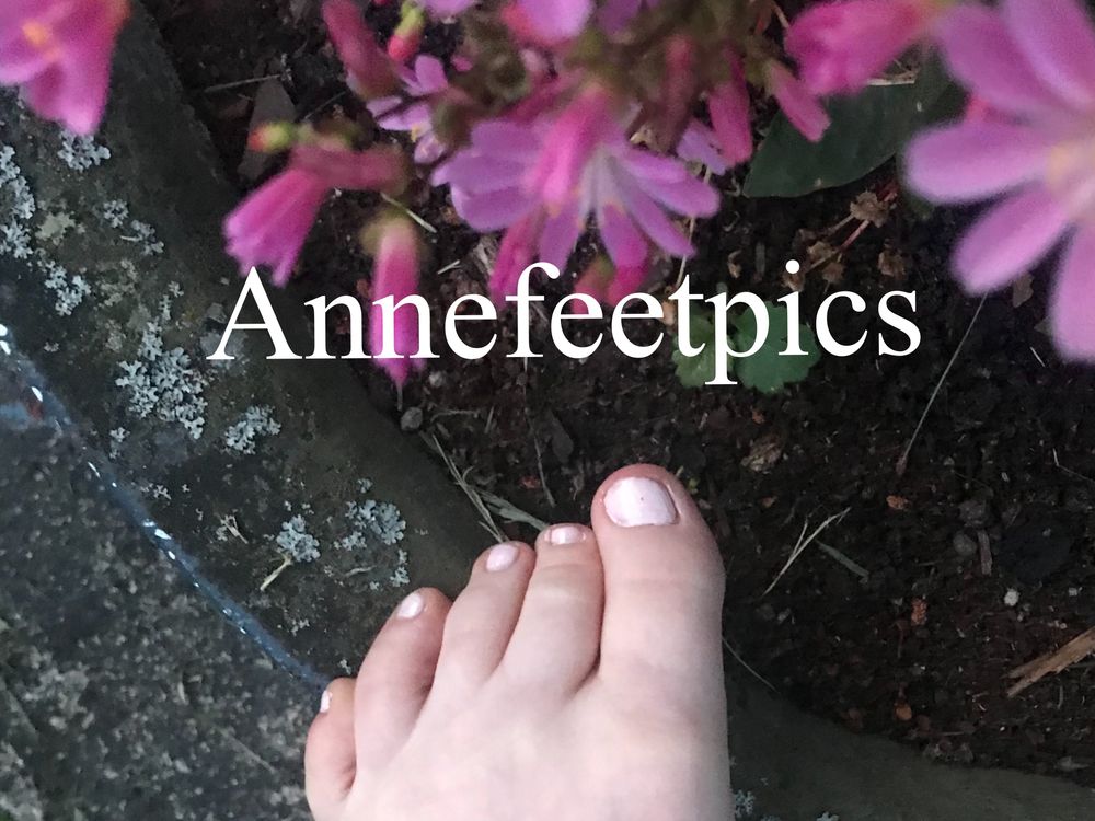 annefeetpics OnlyFans profile picture