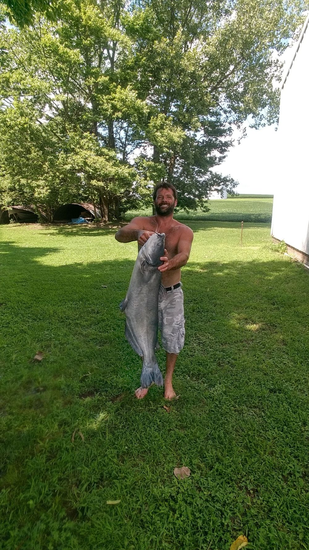 bigmo35 OnlyFans profile picture