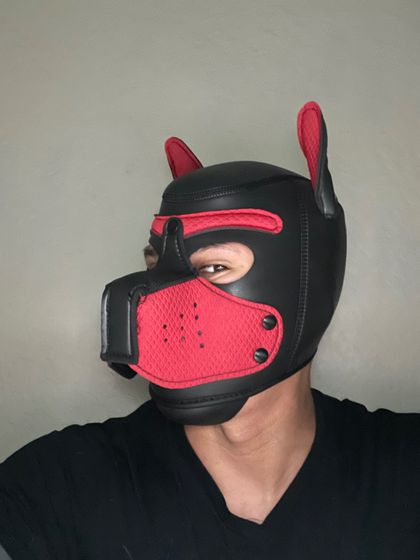 puppylove59 OnlyFans picture