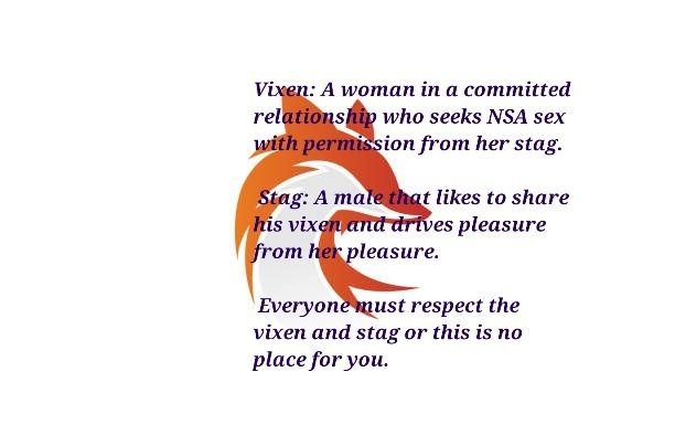 vixenmc1r OnlyFans profile picture