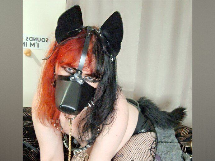 pup_maxie OnlyFans profile picture