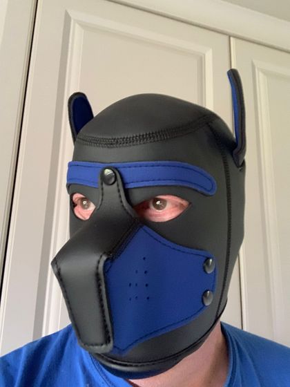 no1_pup OnlyFans picture