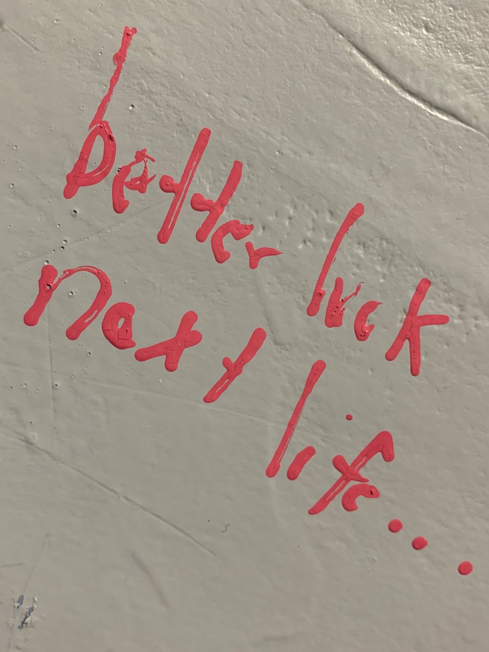 jnutzzzz OnlyFans profile picture
