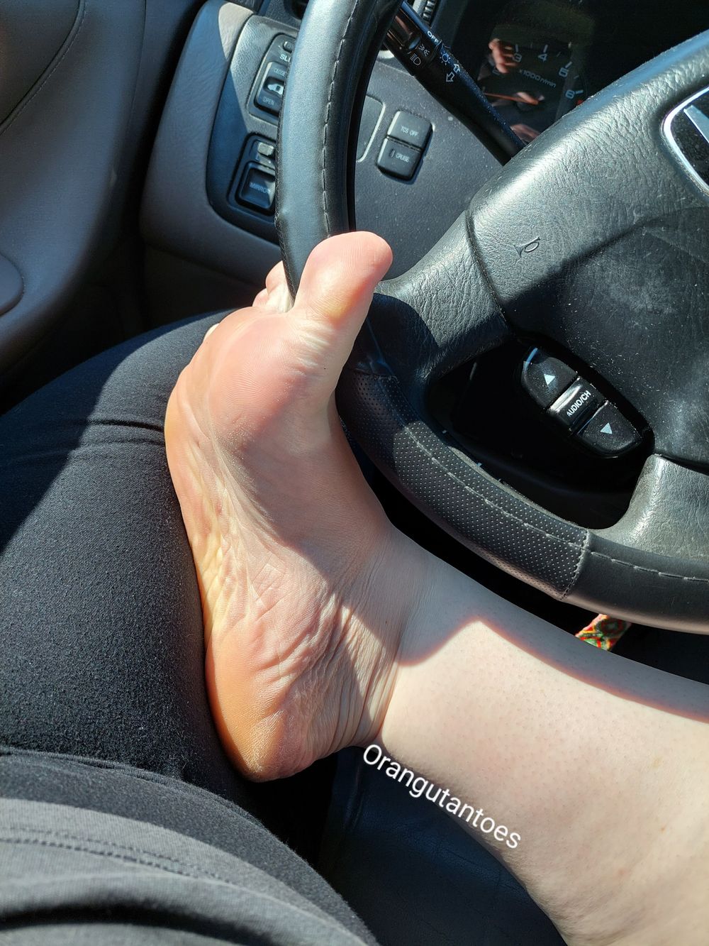orangutantoes OnlyFans profile picture