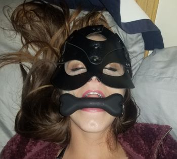 kittykat93xoxo OnlyFans profile picture