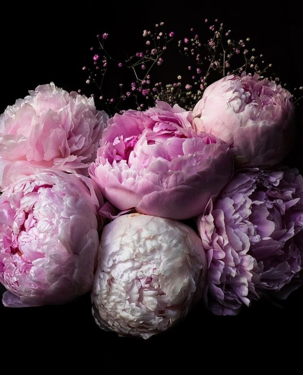 peonyblossom89 OnlyFans profile picture