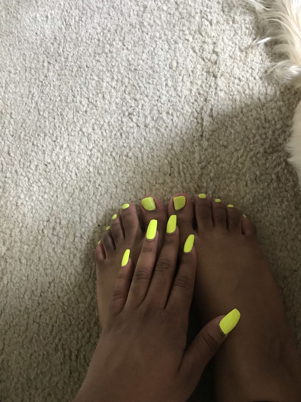 knicolee20 OnlyFans profile picture