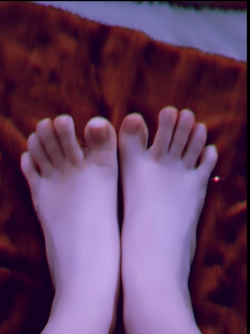 soft.toes.co OnlyFans profile picture