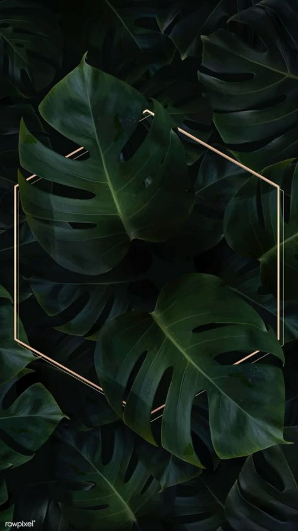 horticulturalmindset OnlyFans profile picture