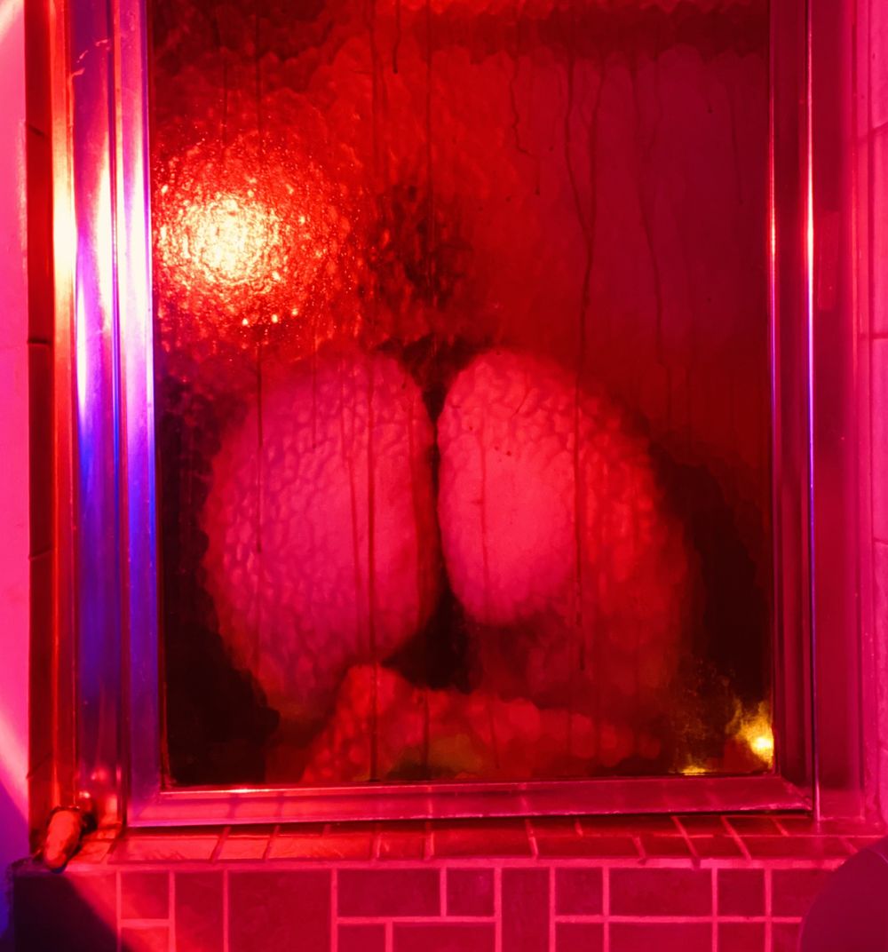 annayymay OnlyFans profile picture
