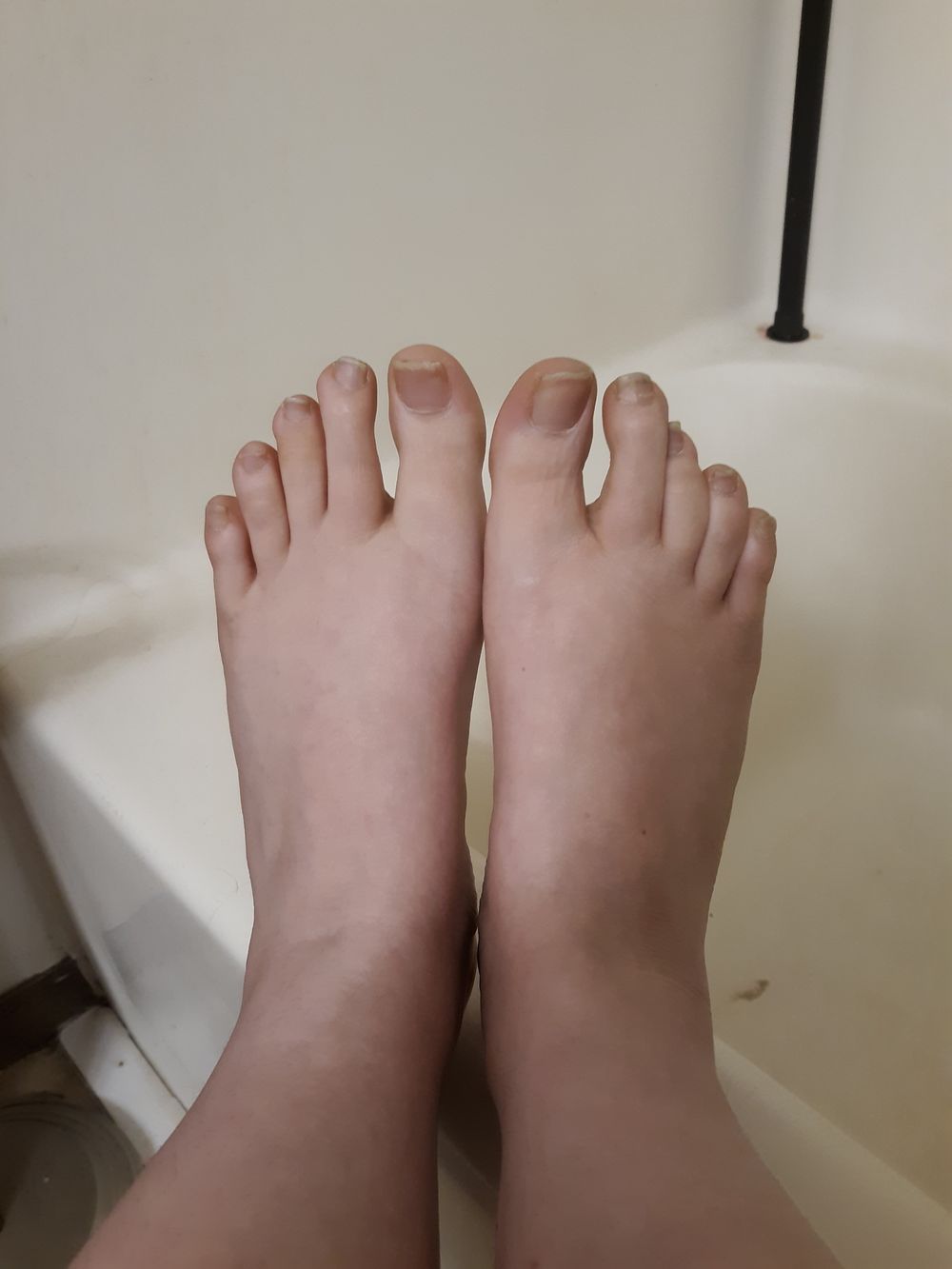 olivebluebird OnlyFans profile picture
