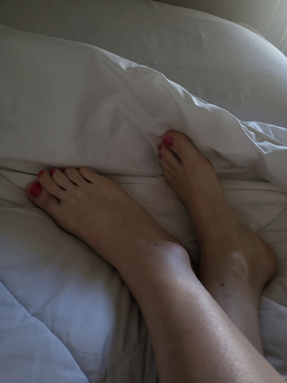 only_caro OnlyFans profile picture