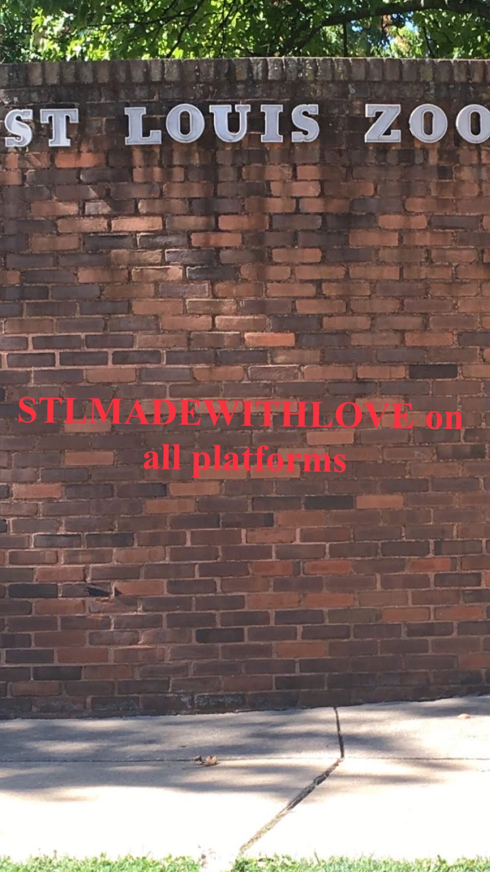 stlmadewithlove OnlyFans profile picture