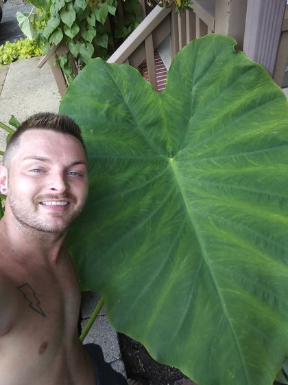 brodywinters OnlyFans picture