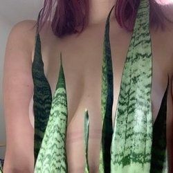 ivyindica OnlyFans picture
