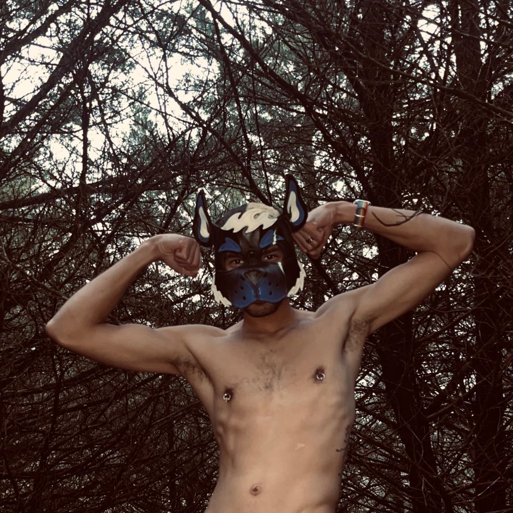 rogerthemutt OnlyFans profile picture