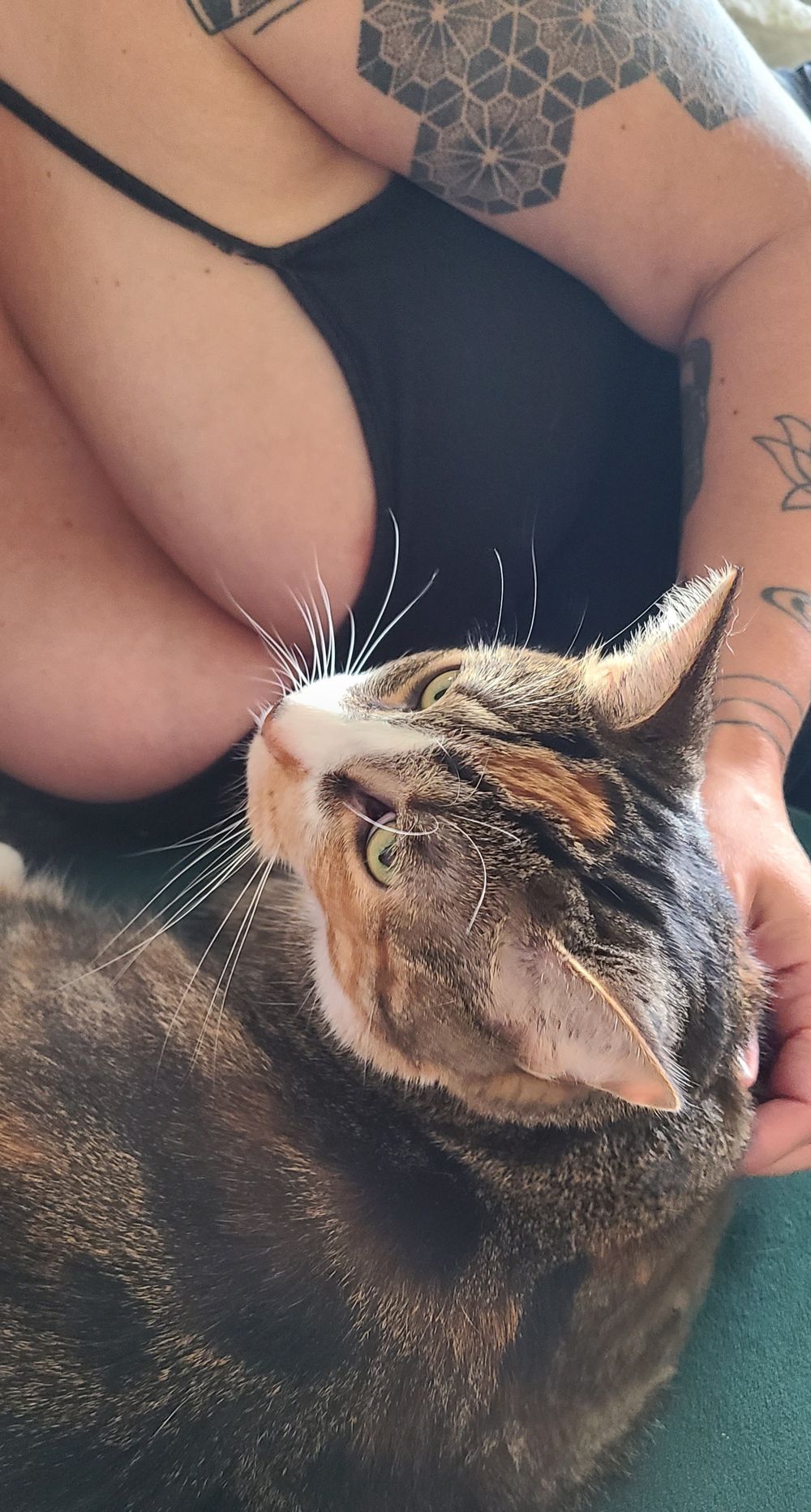 crazycatlady420 OnlyFans profile picture