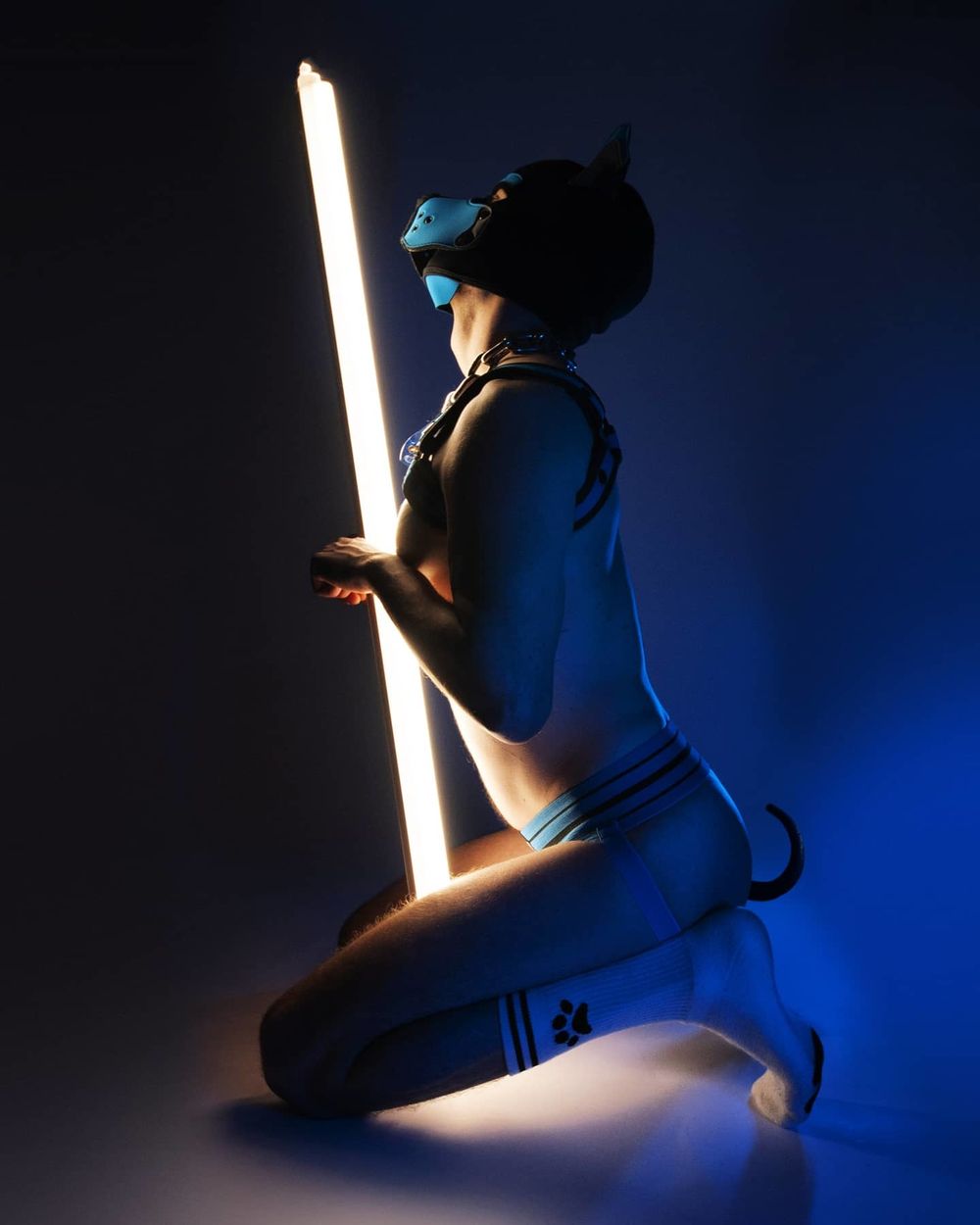 dogboibailey OnlyFans profile picture