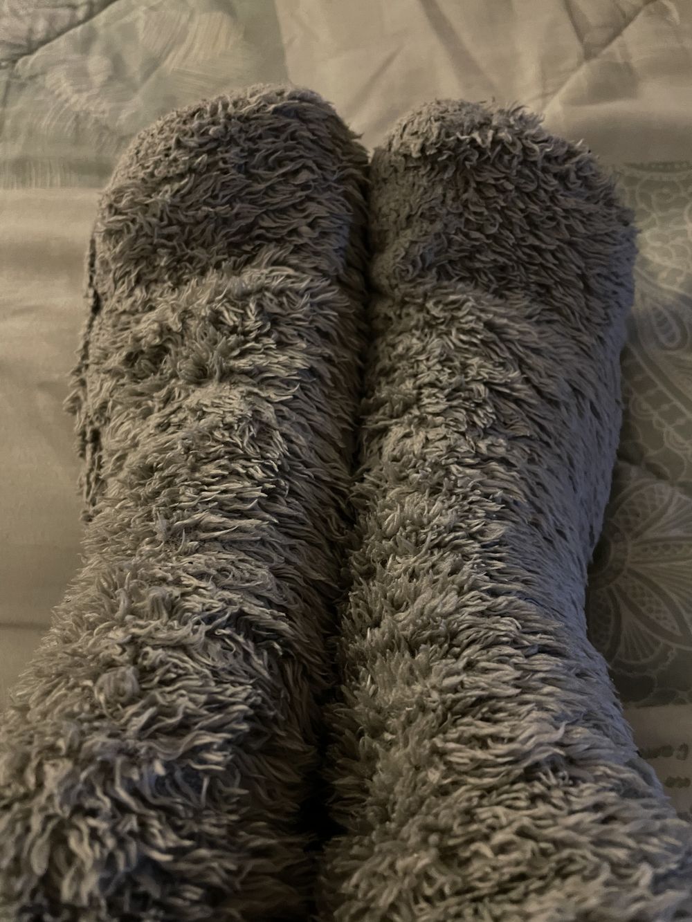 ladypaw OnlyFans profile picture