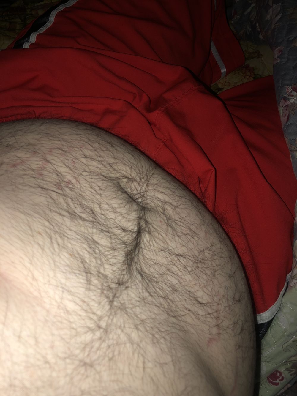 closetedbear OnlyFans profile picture