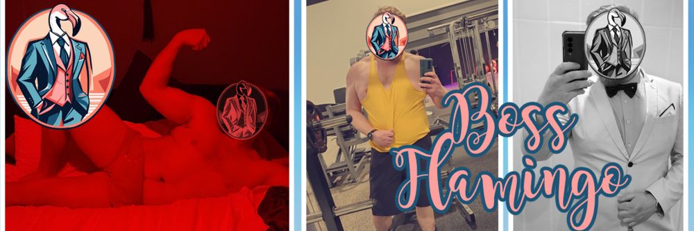 boss.flamingos OnlyFans profile picture