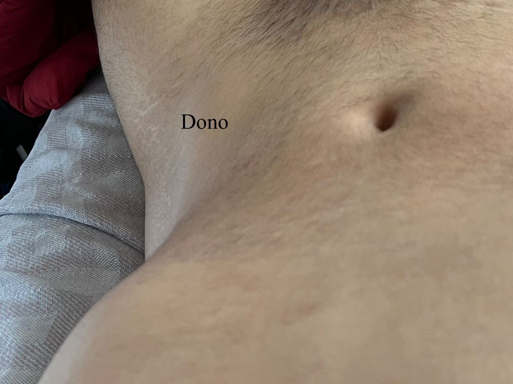 donomonroe OnlyFans profile picture