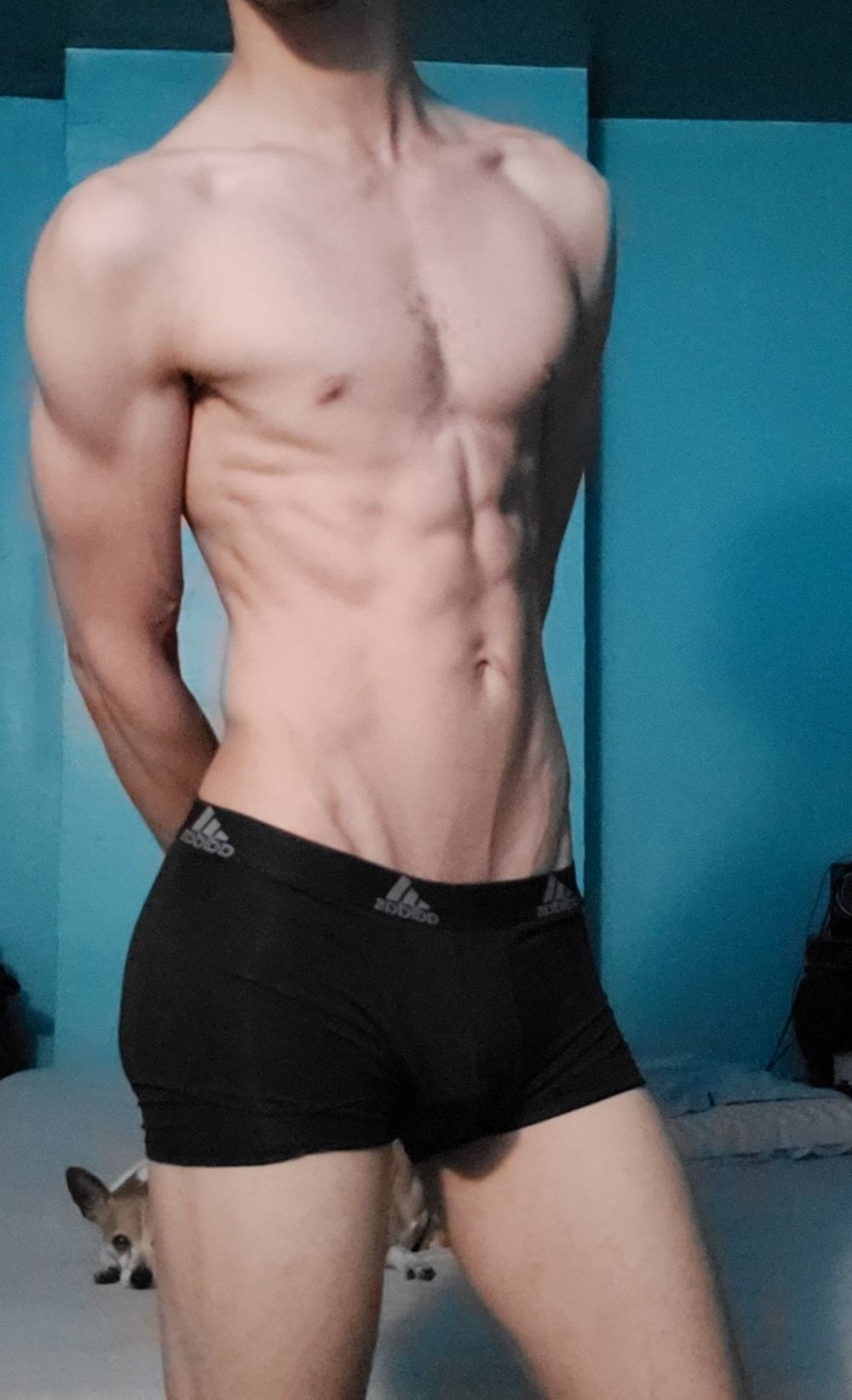mrglade OnlyFans profile picture