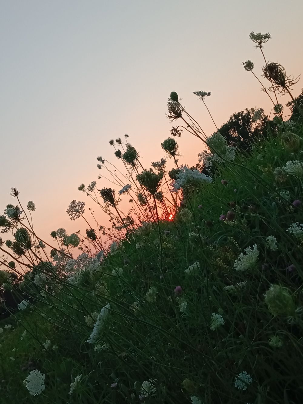 u163059061 OnlyFans profile picture