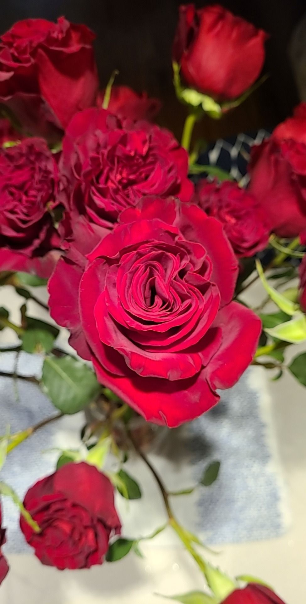 rosiblossomvip OnlyFans - Free Trial - XXX Photos | FansMetrics.com