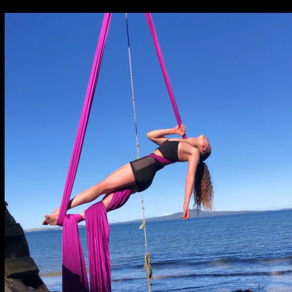 aerialqueen OnlyFans profile picture