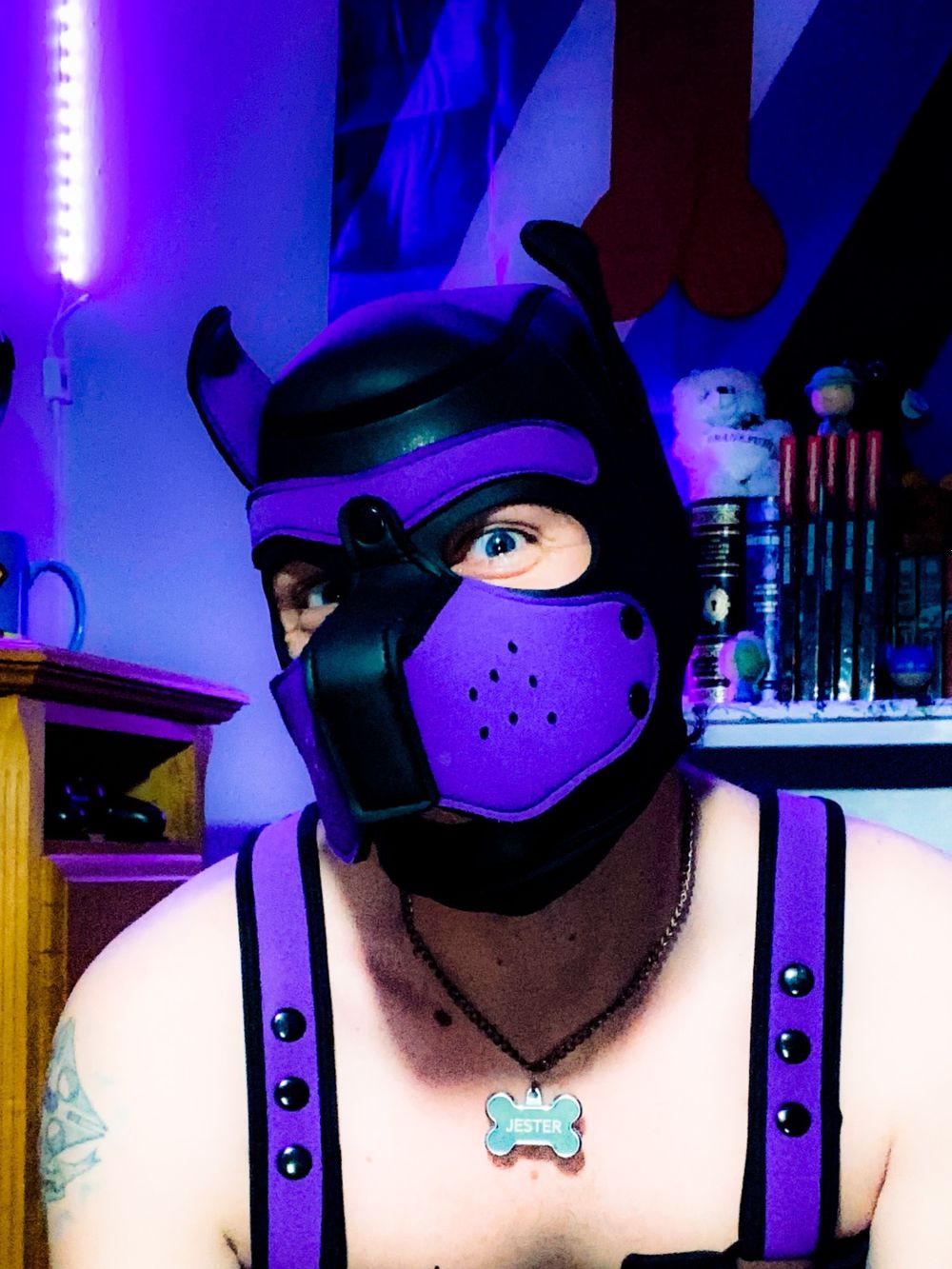 pup-jester OnlyFans profile picture