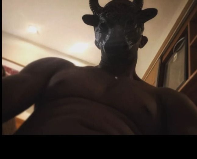 thebullguy2 OnlyFans profile picture