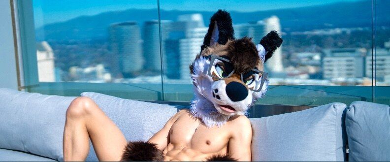 palacewolf OnlyFans profile picture