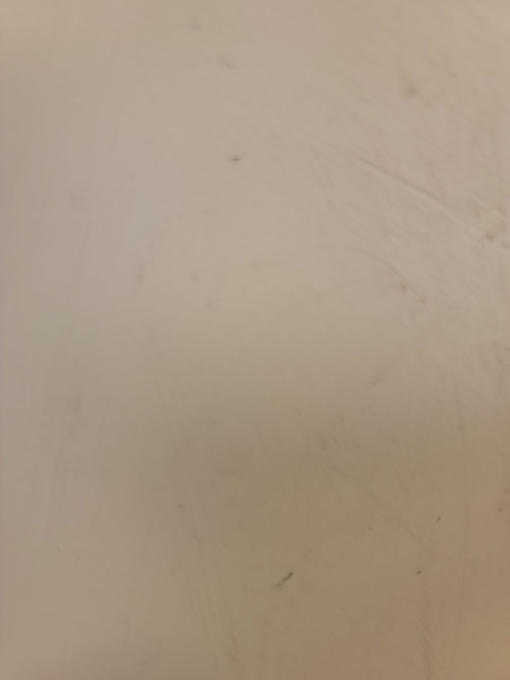tpdidthat OnlyFans profile picture