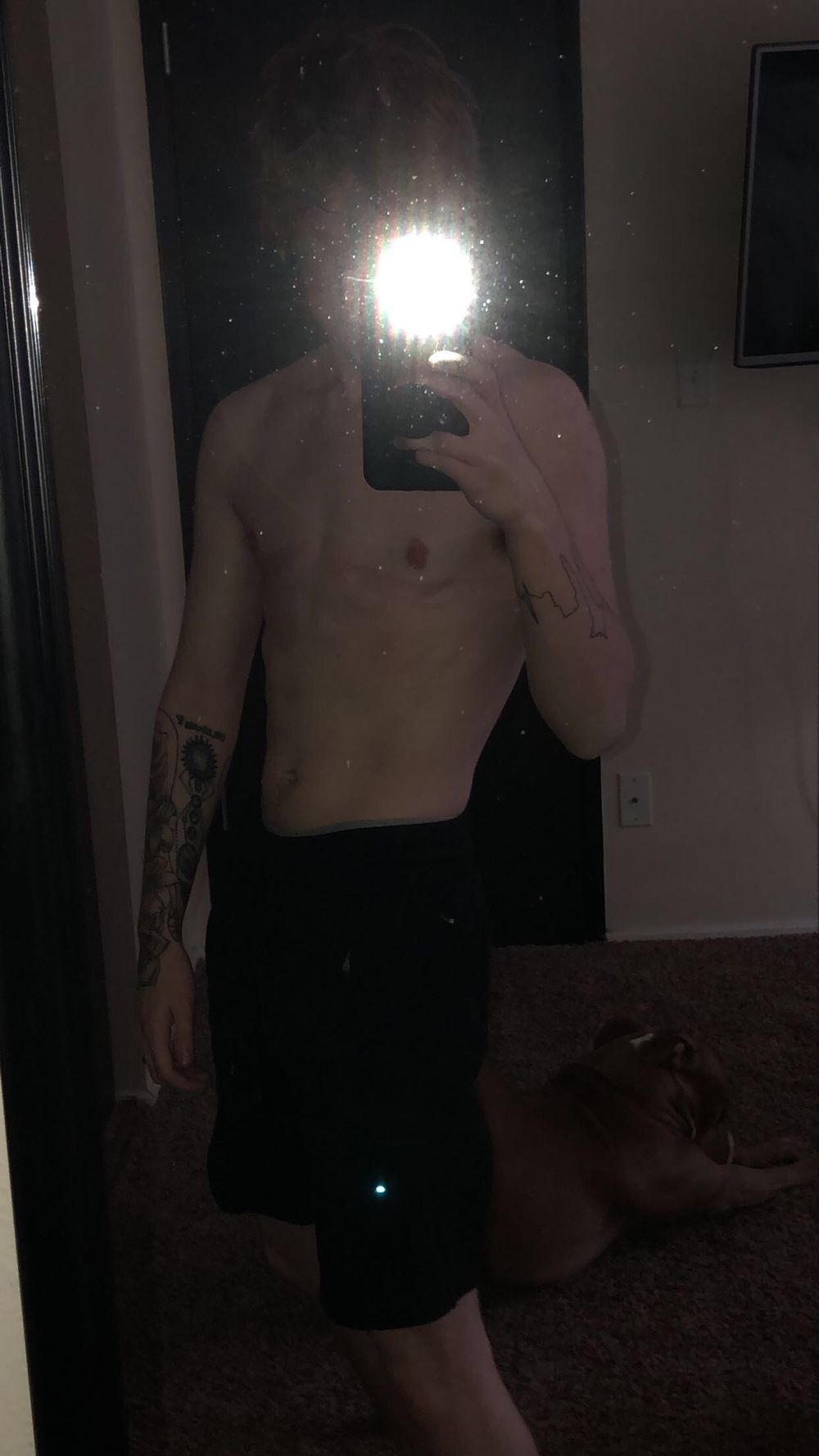 transguynoah OnlyFans profile picture