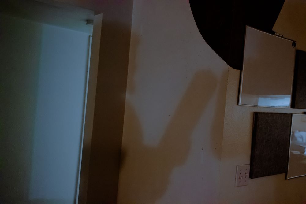muircatinthehat OnlyFans profile picture
