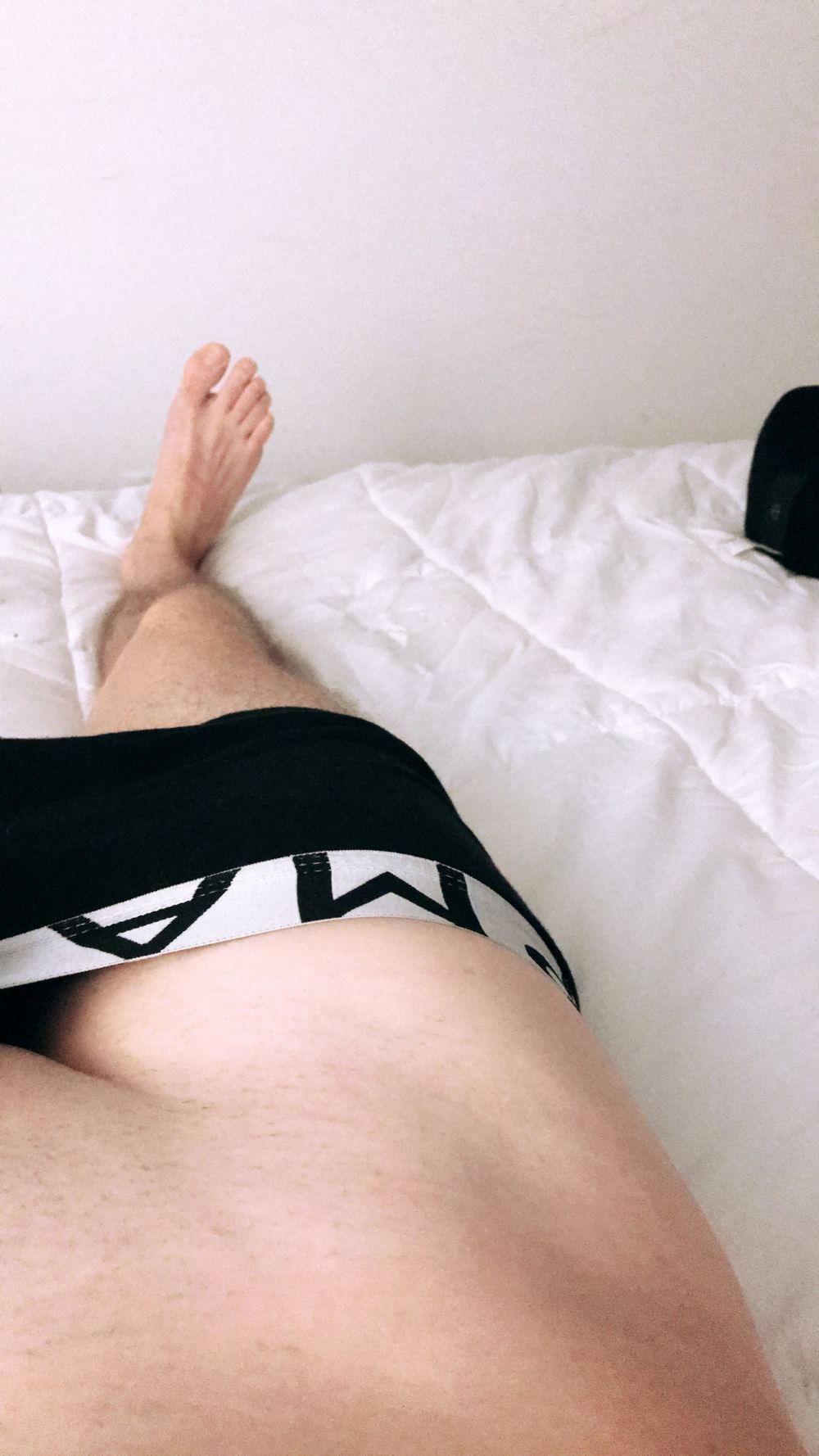 misterbee OnlyFans profile picture