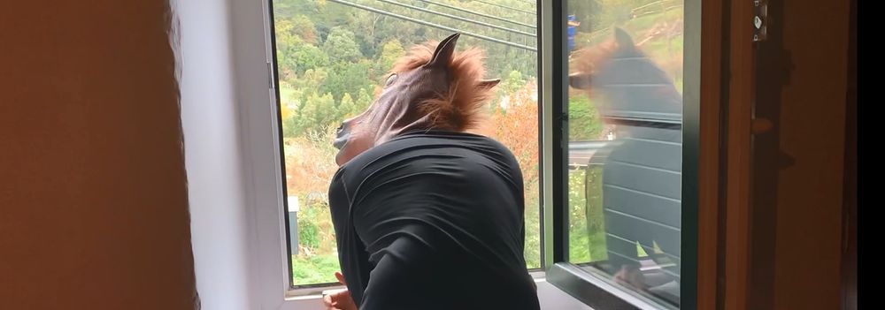 basquewild OnlyFans profile picture