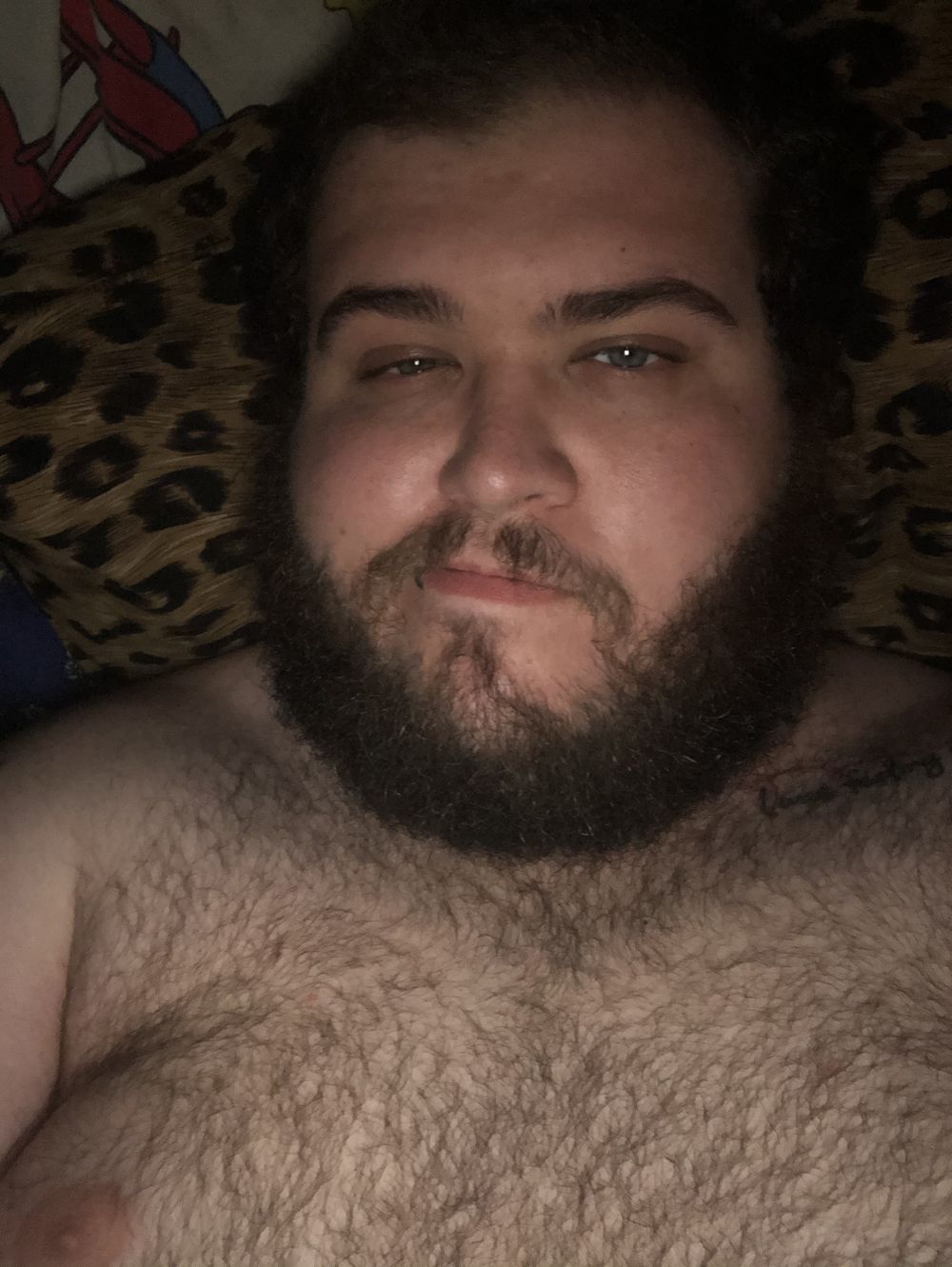 bibearcub93 OnlyFans profile picture
