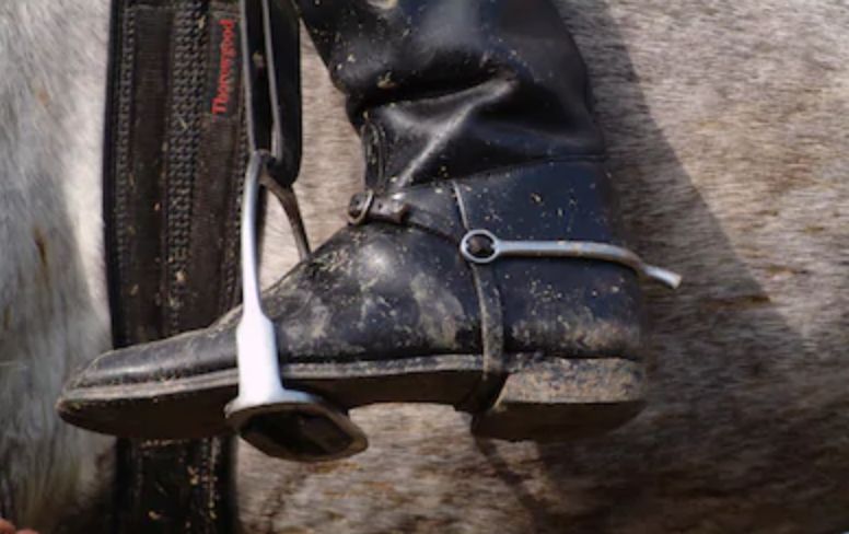 ridingboots OnlyFans profile picture