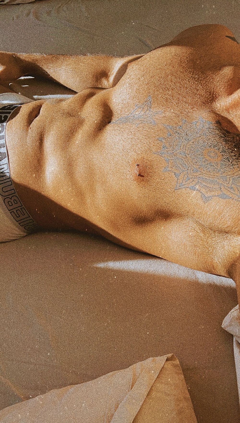 trmaster OnlyFans profile picture