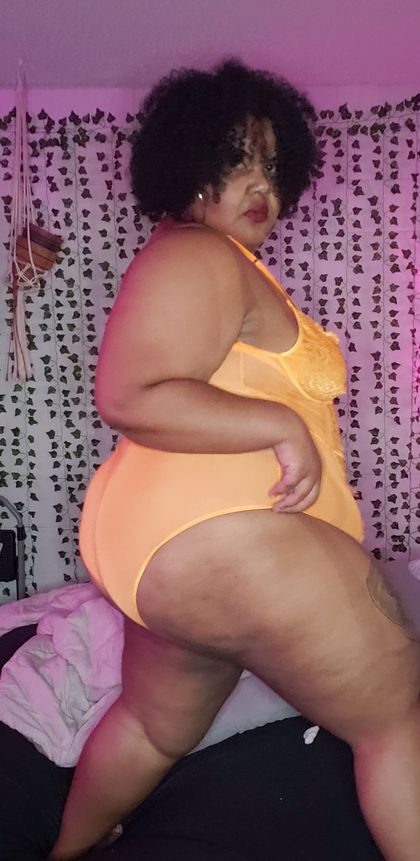 lvthebbw OnlyFans picture